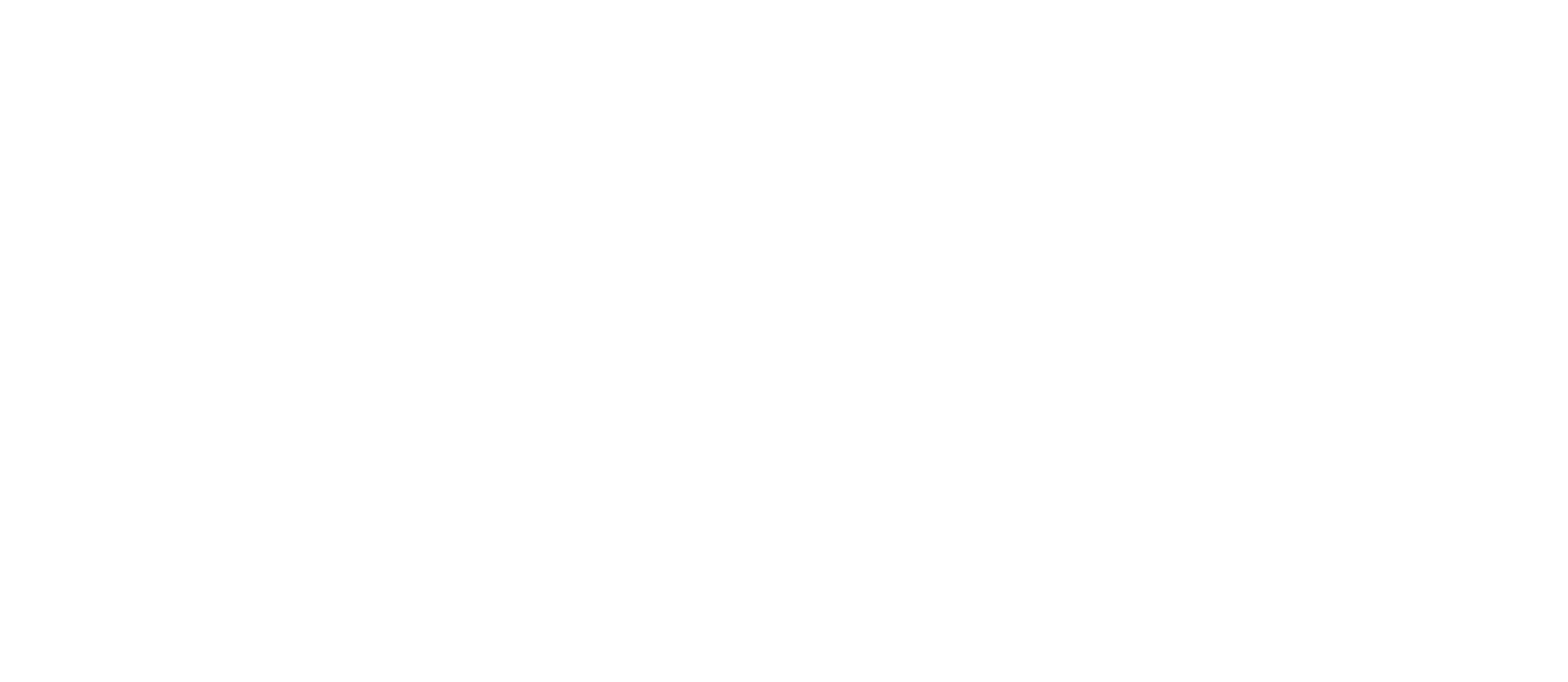 TD_logo weiß
