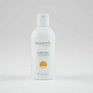 PANDHY’S™ Purifying Foam-Powder für ölige und unruhige Haut (70 G)